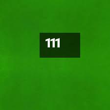 111